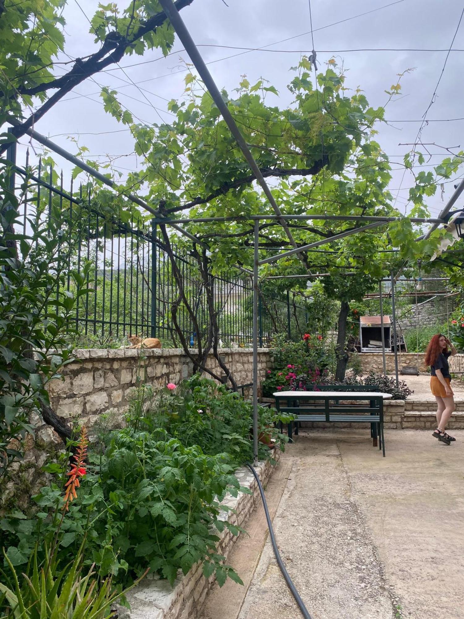Oasis Hostel Himarë Exterior foto