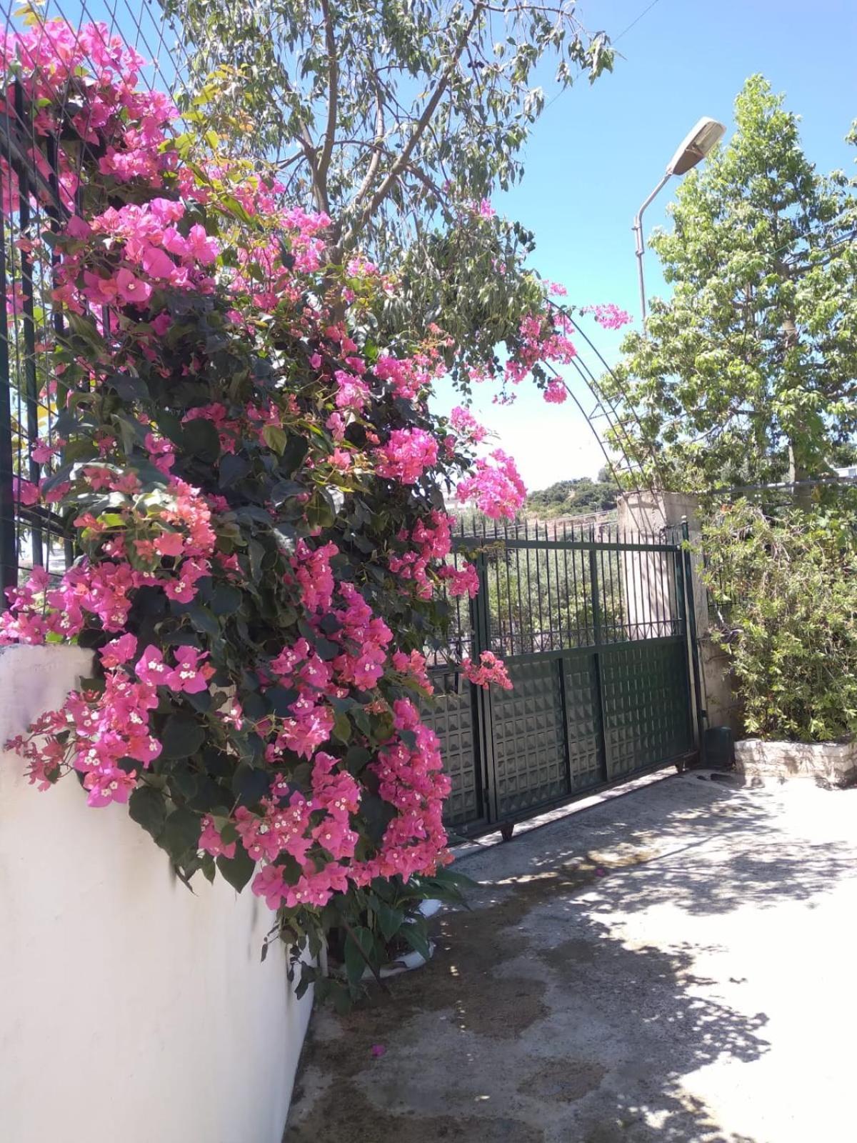Oasis Hostel Himarë Exterior foto